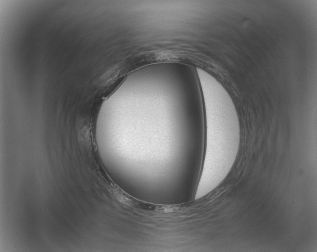 X0000057560329200509160817