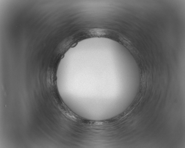 X0000057560330200509160817