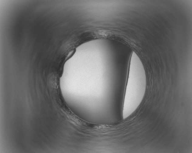 X0000057560331200509160817