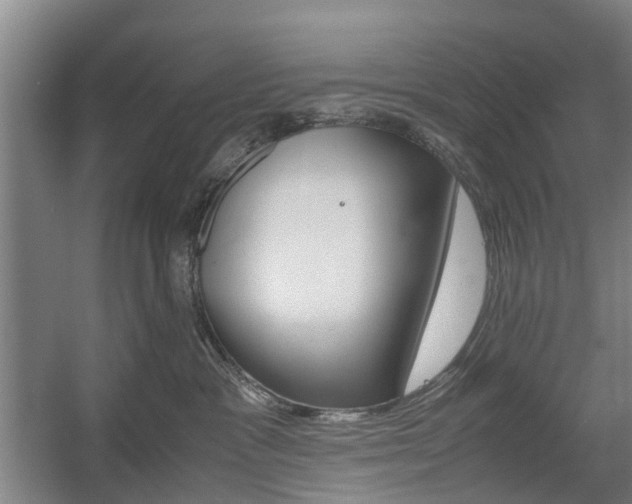 X0000057560333200509160817