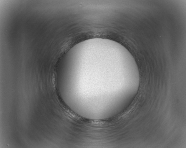 X0000057560336200509160817