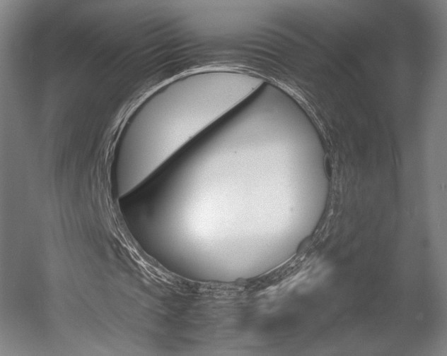 X0000057560337200509160816