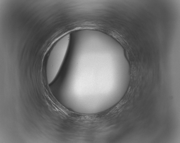 X0000057560338200509160816