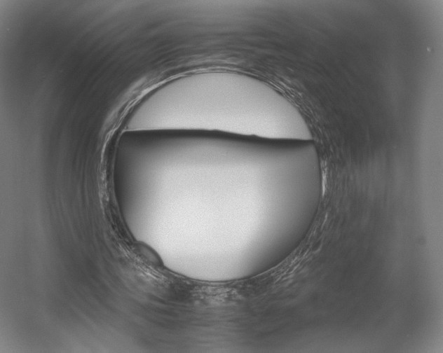 X0000057560339200509160816