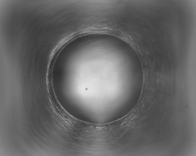 X0000057560340200509160816