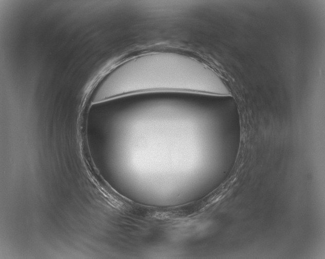 X0000057560341200509160816