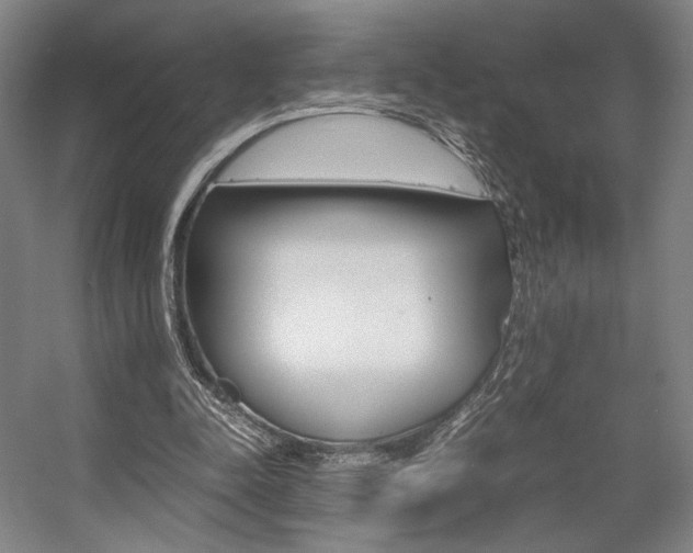 X0000057560342200509160816