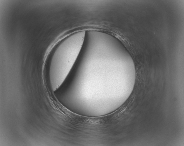 X0000057560343200509160816