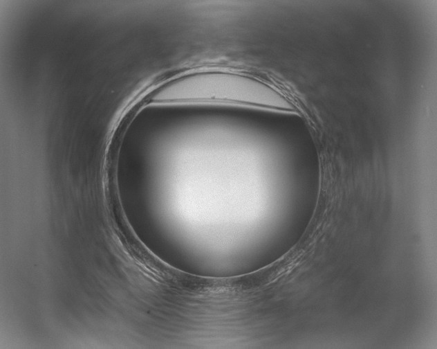 X0000057560344200509160816