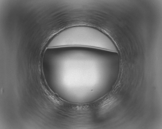X0000057560345200509160816