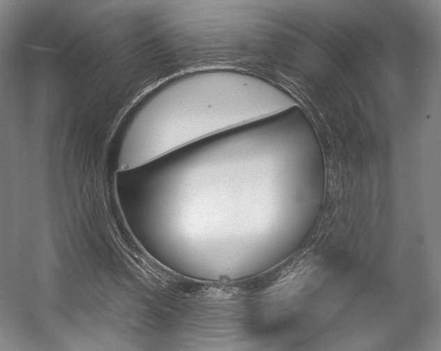 X0000057560346200509160816