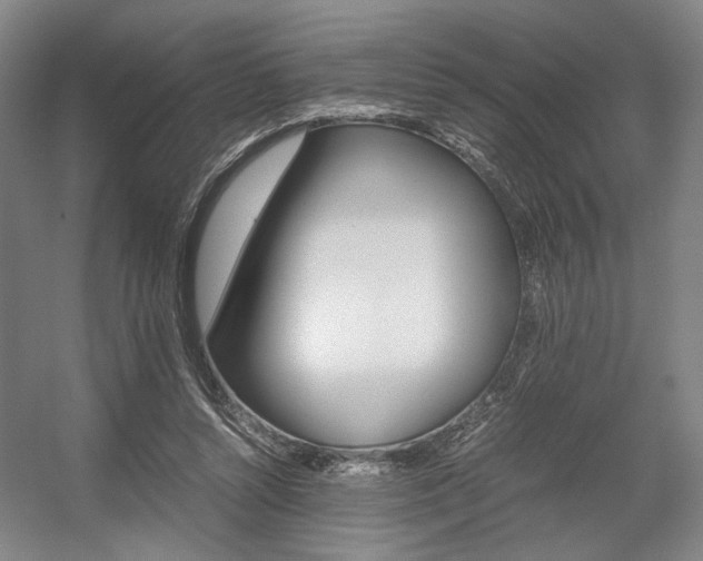 X0000057560352200509160816