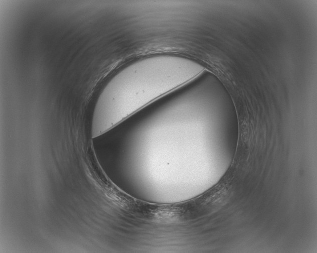 X0000057560358200509160816