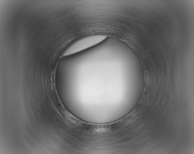 X0000057560360200509160816