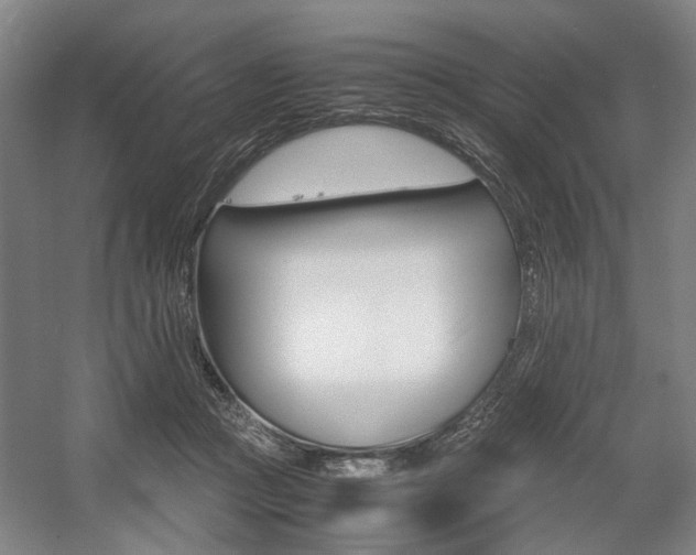 X0000057560361200509160816
