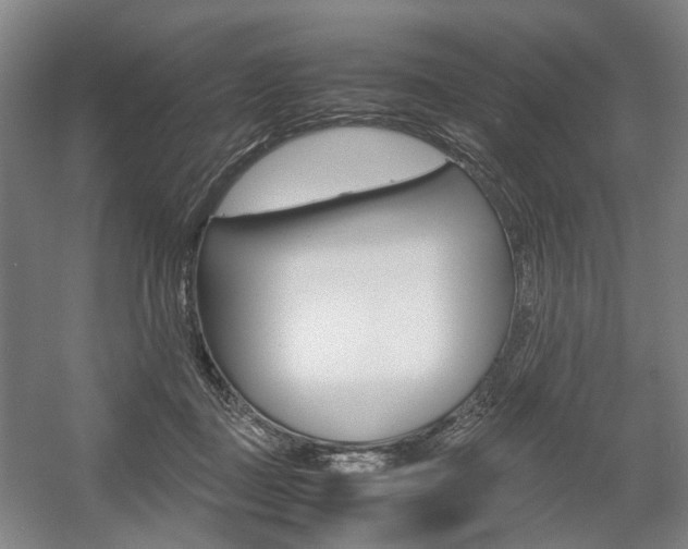 X0000057560363200509160816