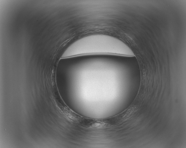 X0000057560364200509160816