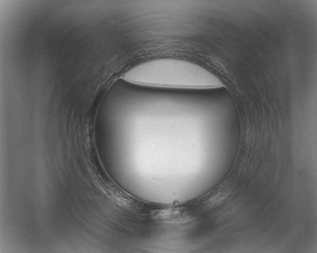 X0000057560366200509160816