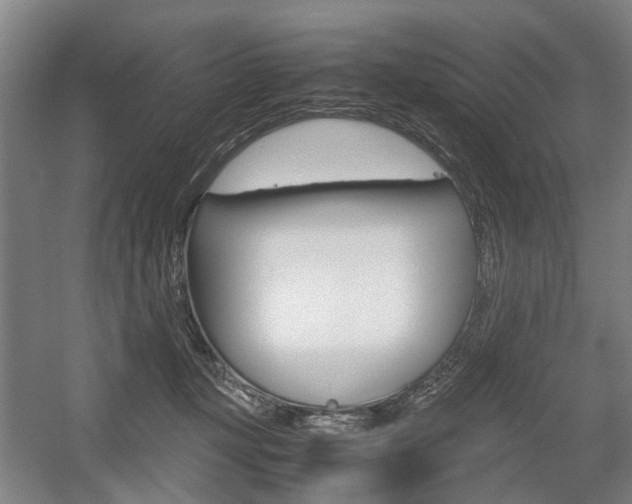 X0000057560367200509160816
