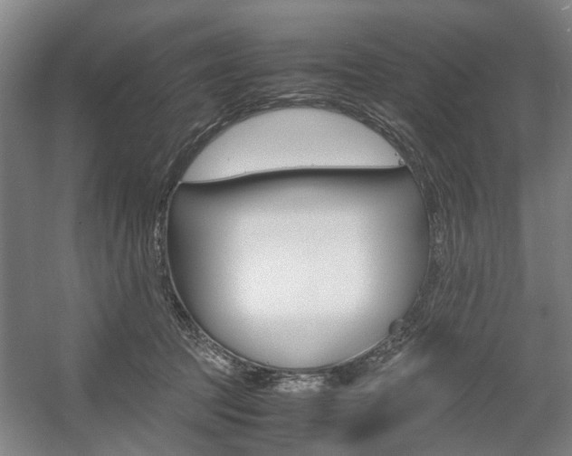 X0000057560369200509160816