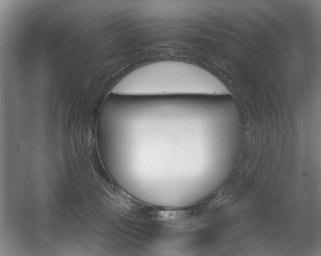 X0000057560371200509160816