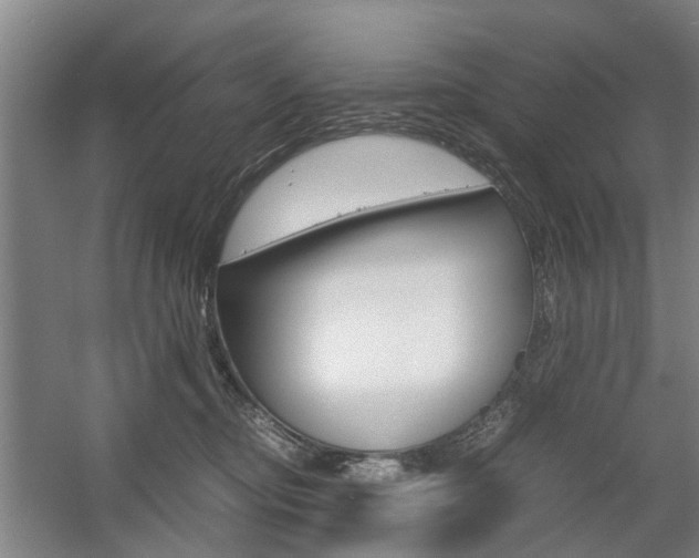 X0000057560374200509160816