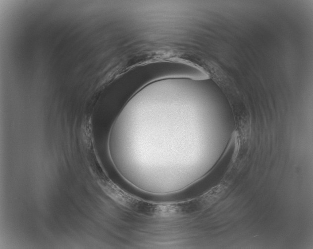 X0000057560376200509160816