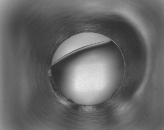 X0000057560383200509160817