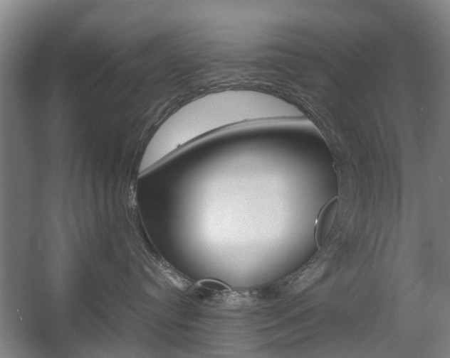 X0000057560384200509160817