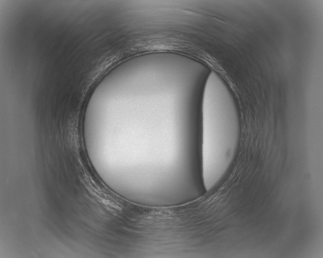 X0000057560386200509160816
