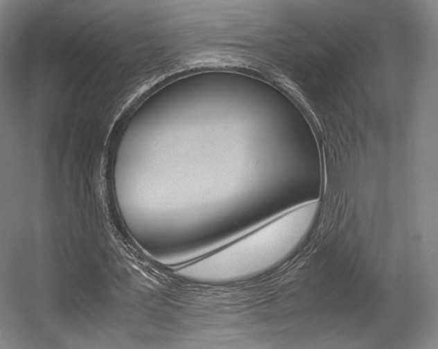 X0000057560387200509160816