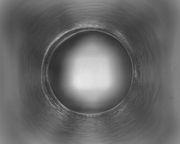 X0000057560388200509160816