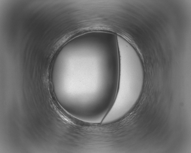 X0000057560389200509160816