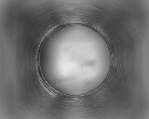 X0000057560390200509160816