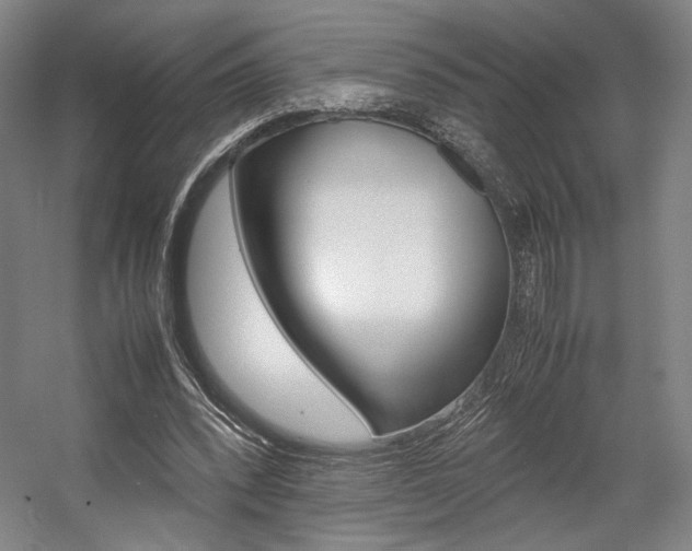 X0000057560392200509160816