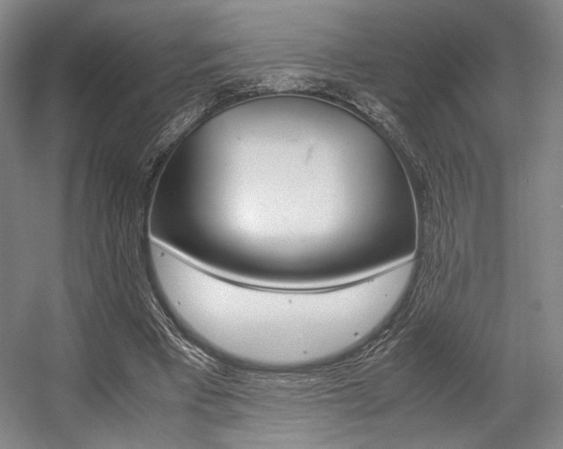 X0000057560393200509160816