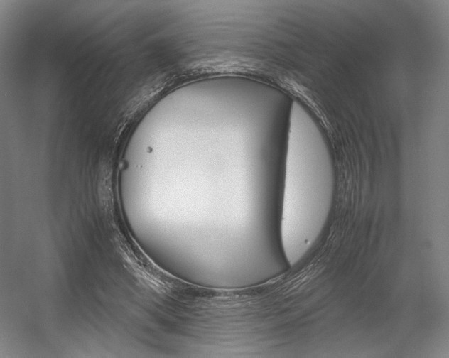 X0000057560394200509160816