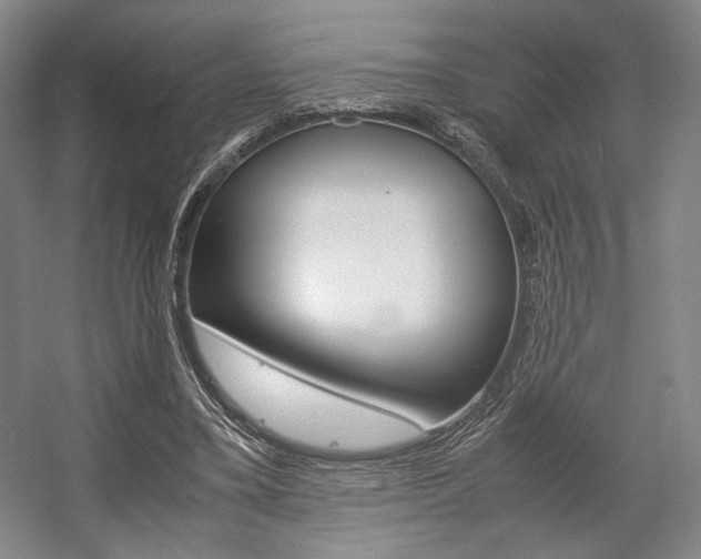 X0000057560395200509160816