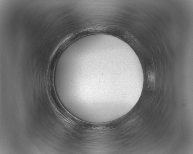 X0000057560396200509160816