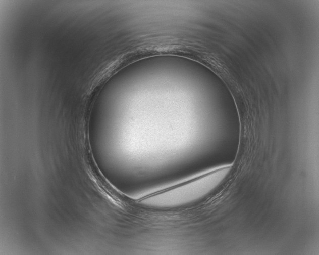 X0000057560397200509160816