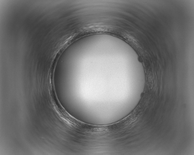 X0000057560398200509160816