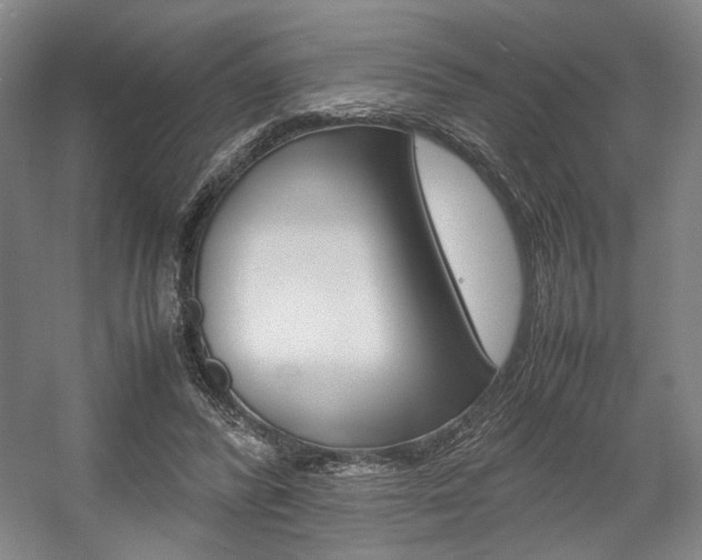 X0000057560400200509160816