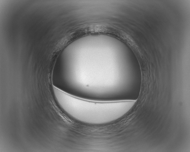X0000057560401200509160816