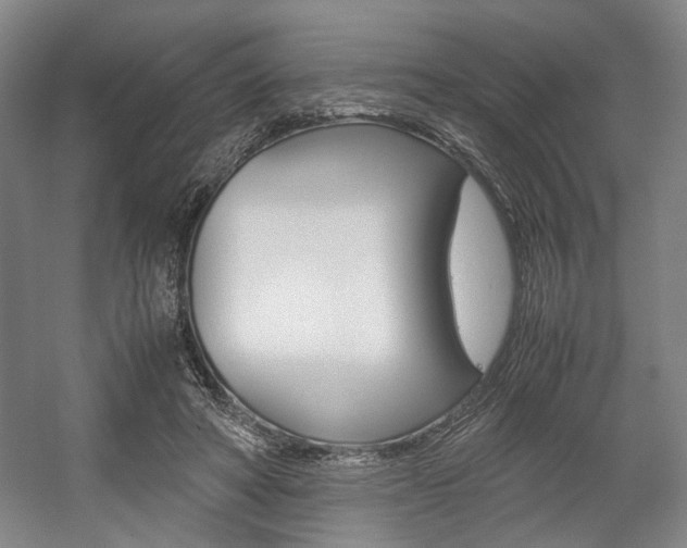 X0000057560402200509160816