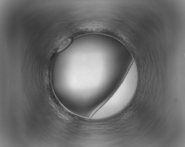 X0000057560403200509160815