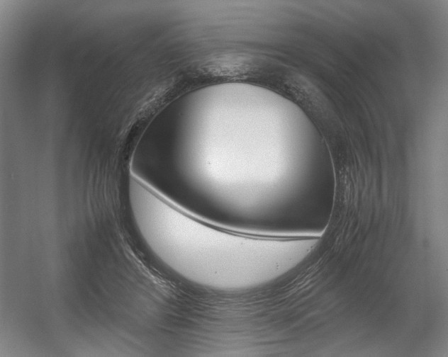 X0000057560404200509160815