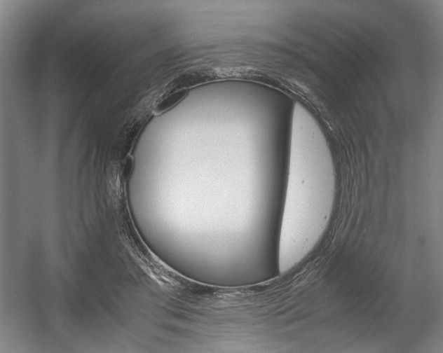 X0000057560405200509160815