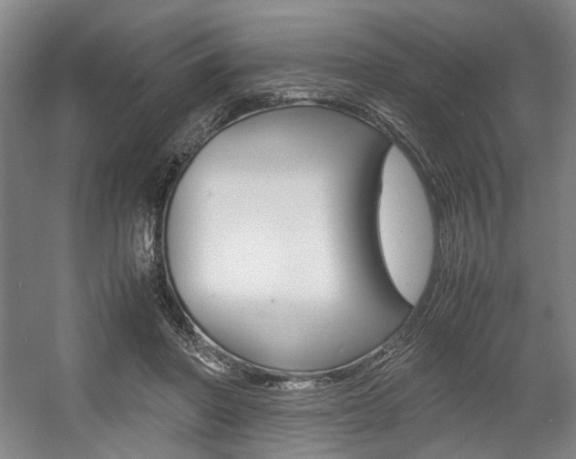 X0000057560406200509160815