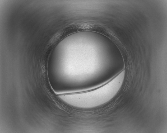 X0000057560407200509160815