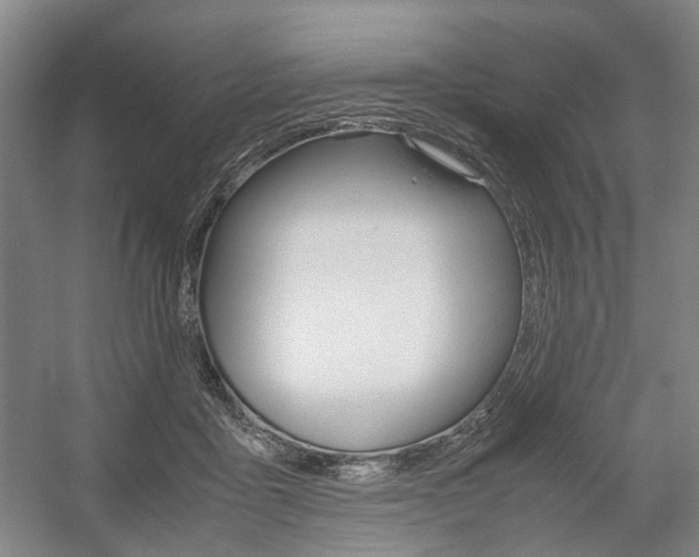 X0000057560411200509160815